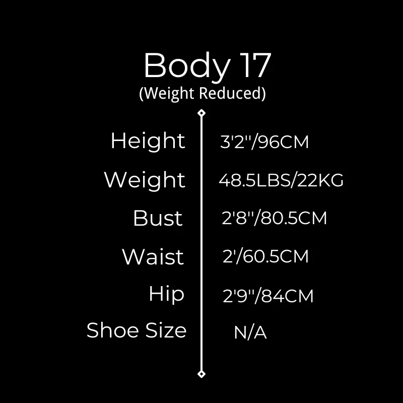 人造人娃娃 - 17号Torso半身娃娃